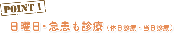 日曜日・急患も対応（休日診療）