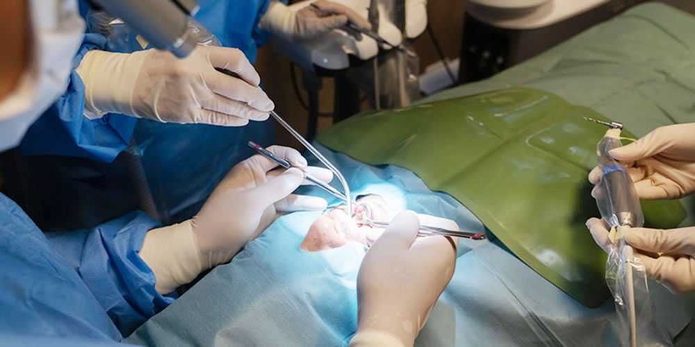 安全性に配慮した手術環境