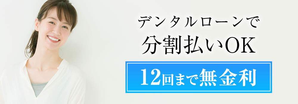48回まで金利なし